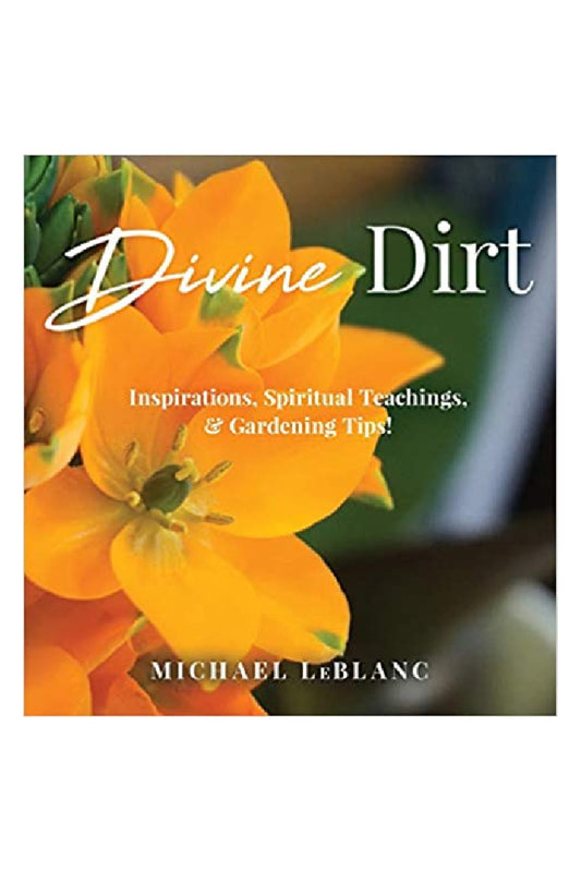 DIVINE DIRT-PAPERBACK