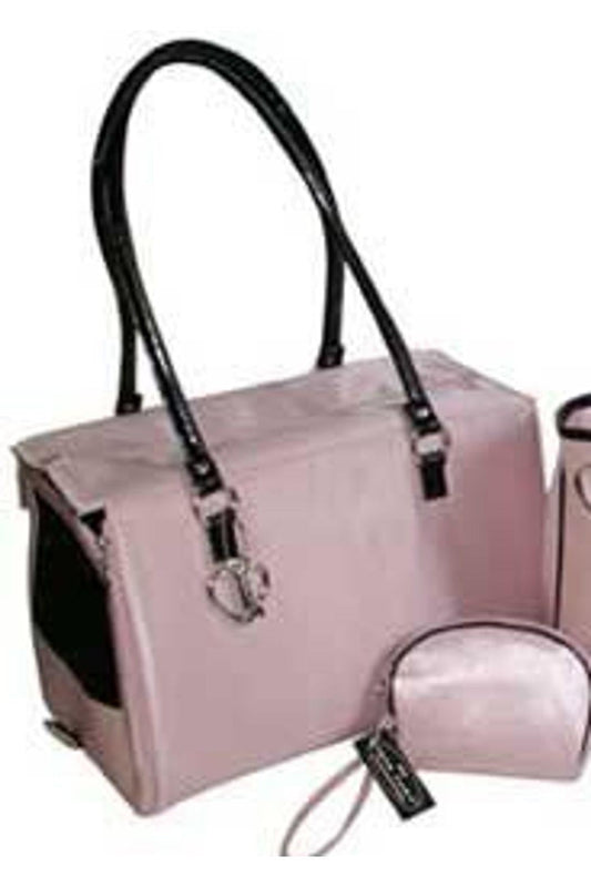 Pet Carrier And Treat Pouch Set