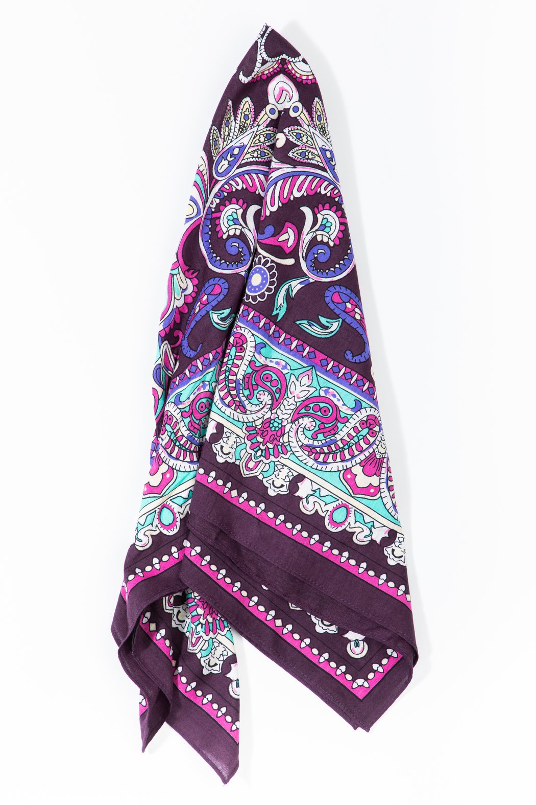 Paisley Trellis Print Bandana