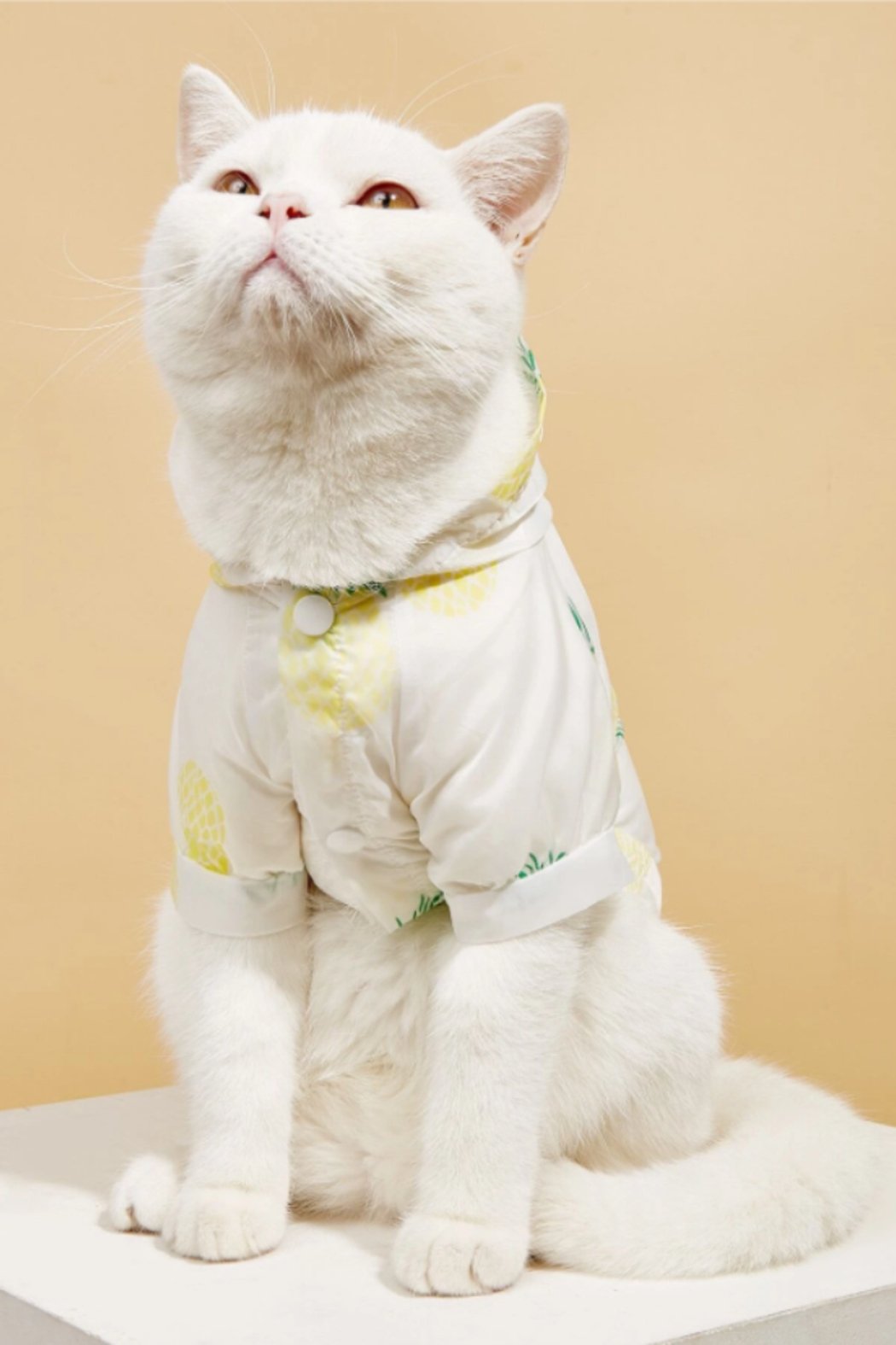 Fruit Print Sun Protection Pet Shirt