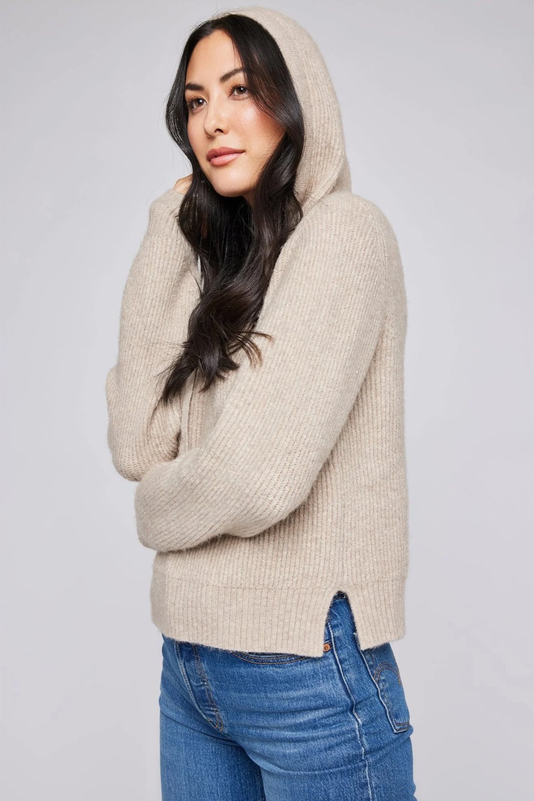 Alanis Hooded Sweater