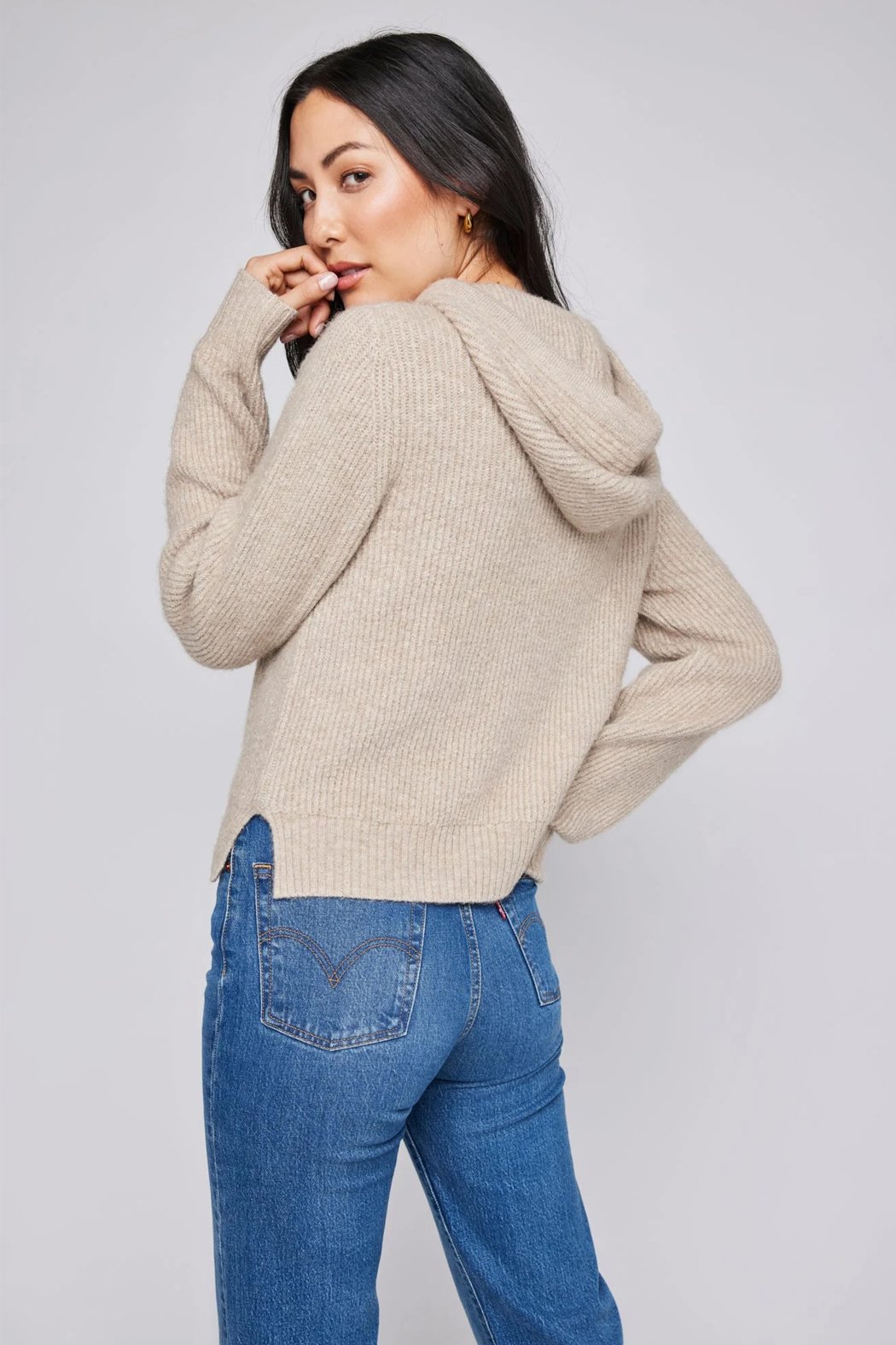 Alanis Hooded Sweater