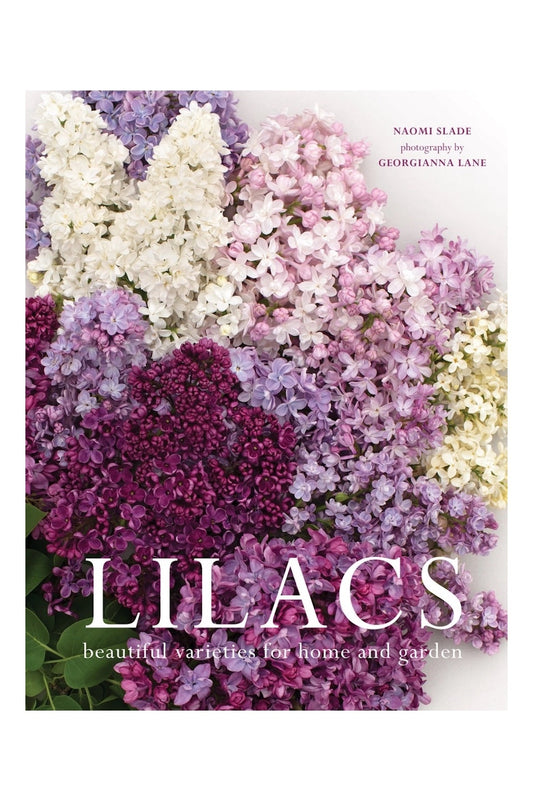 Lilacs: Beautiful Varieties