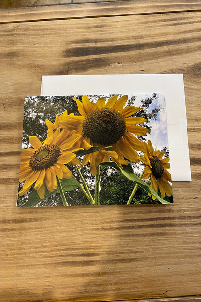 Greeting Card Blank- AR Loving
