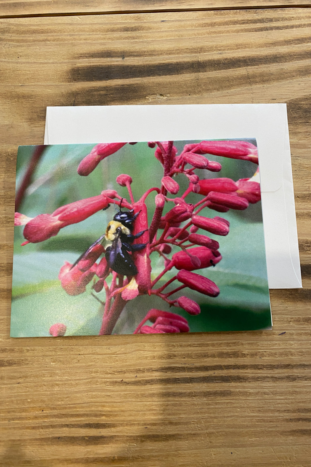 Greeting Card Blank- AR Loving