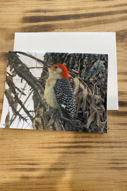 Greeting Card Blank- AR Loving
