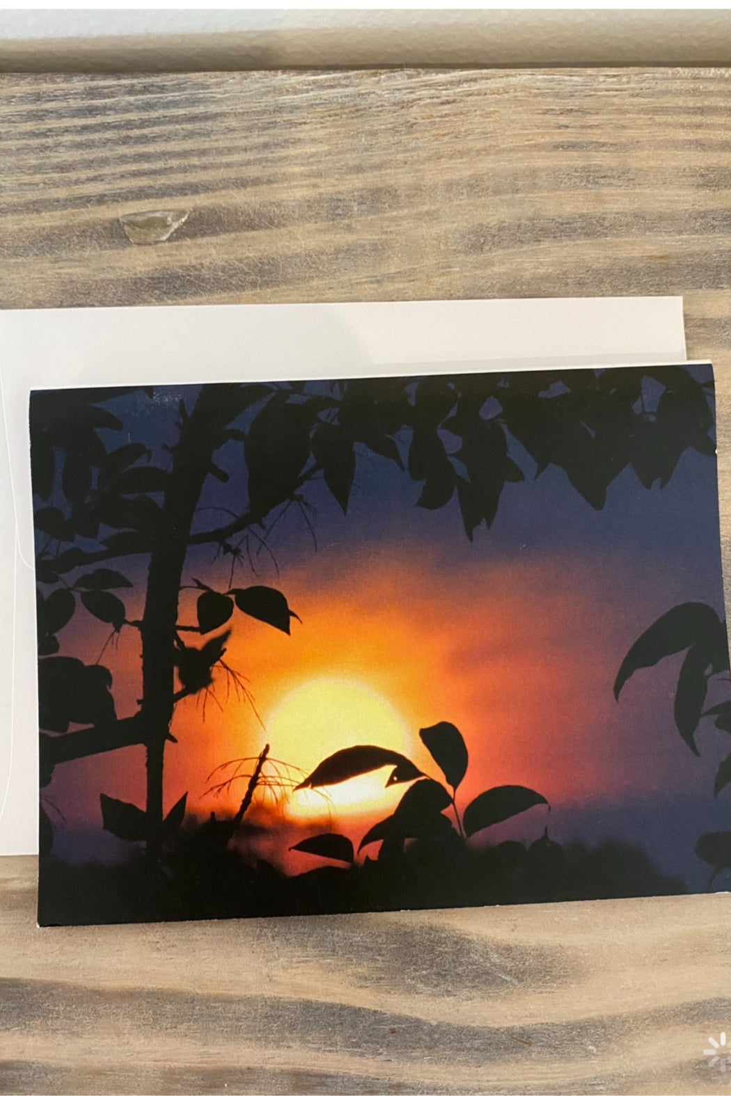 Greeting Card Blank- Nature