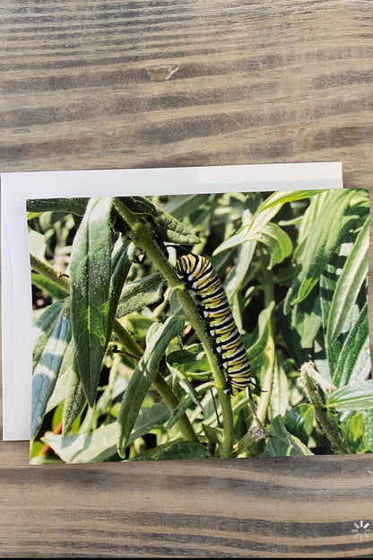 Greeting Card Blank- Nature
