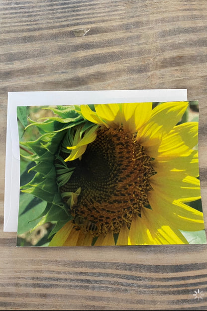 Greeting Card Blank- Nature