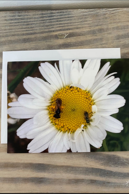 Greeting Card Blank- Nature