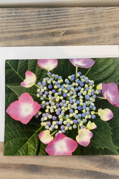 Greeting Card Blank- Nature