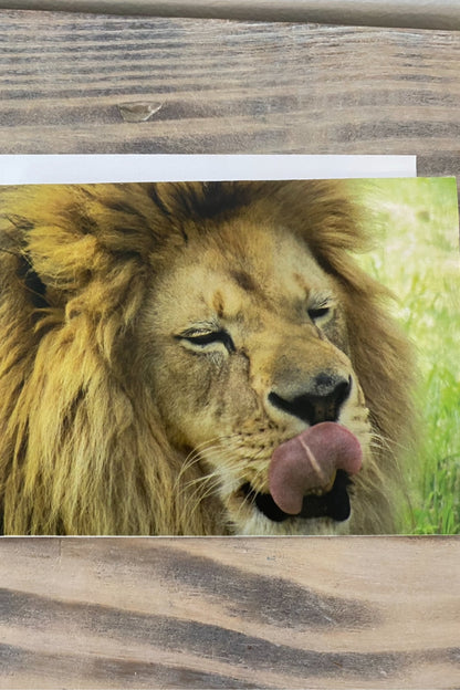 Greeting Card Blank- Nature