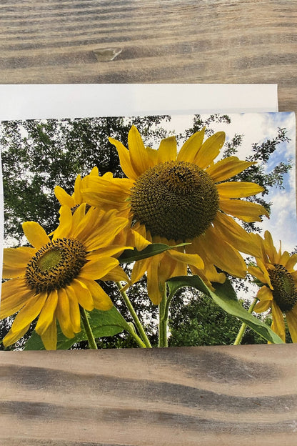 Greeting Card Blank- Nature