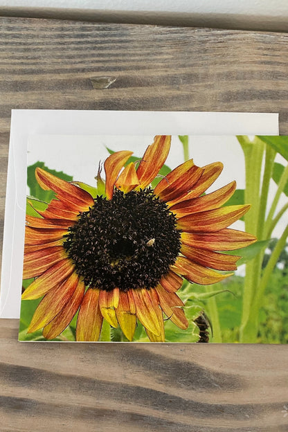 Greeting Card Blank- Nature