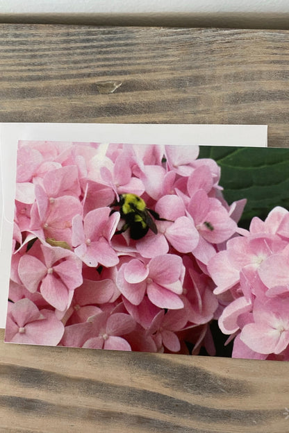 Greeting Card Blank- Nature