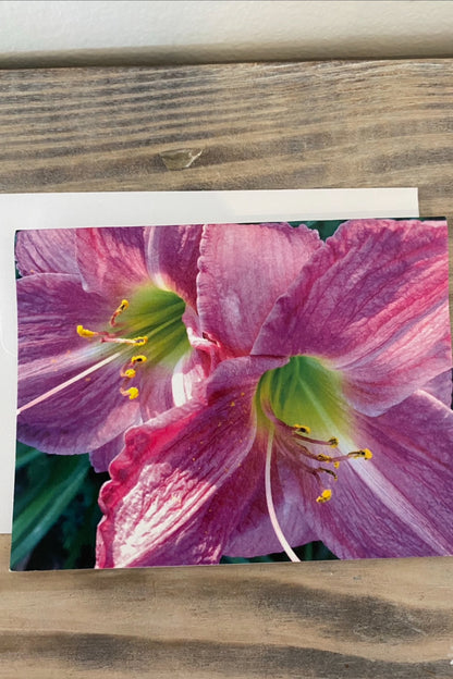 Greeting Card Blank- Nature