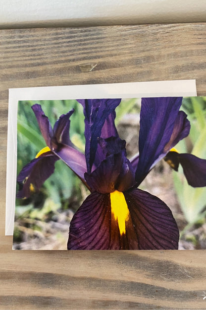 Greeting Card Blank- Nature