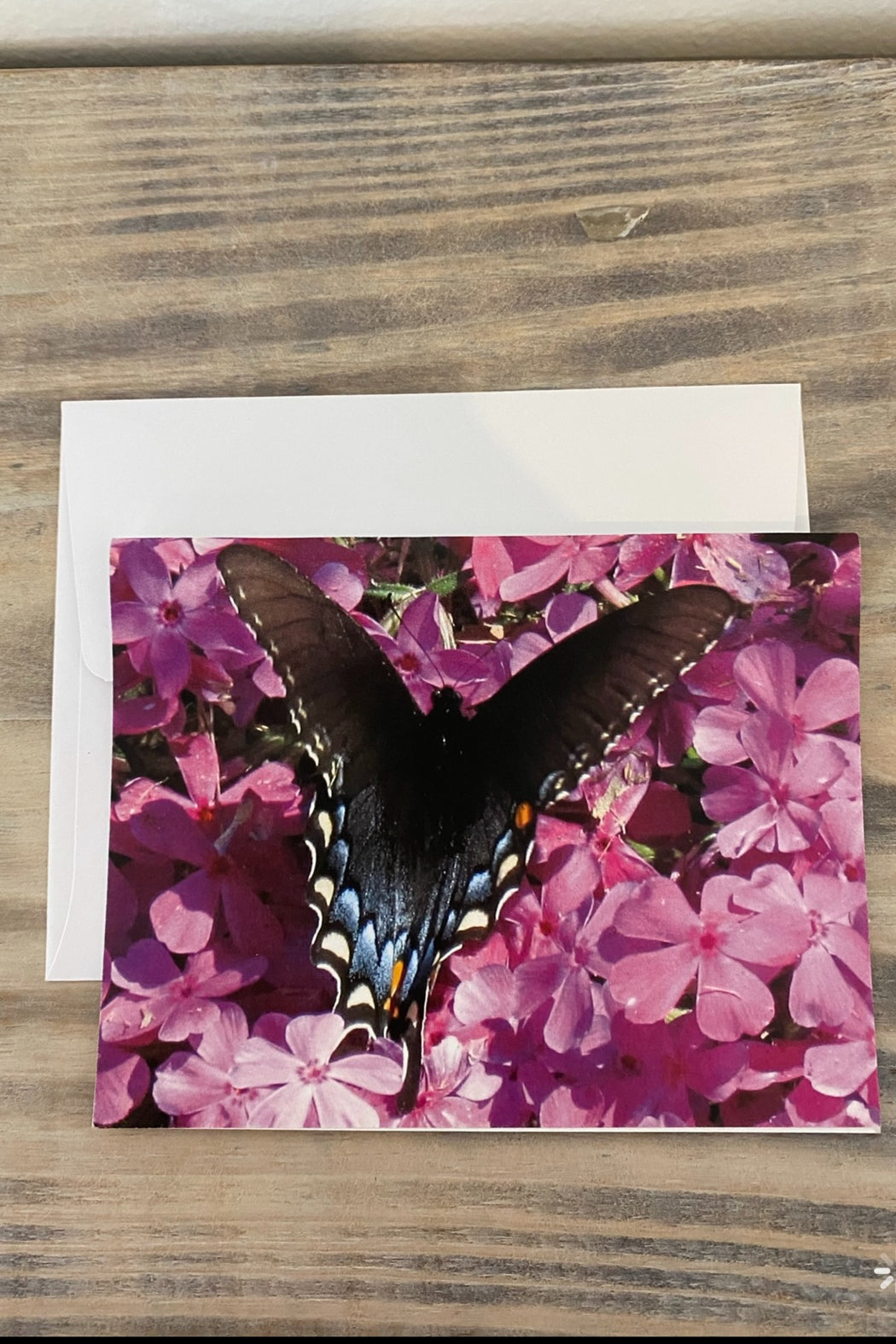 Greeting Card Blank- Nature