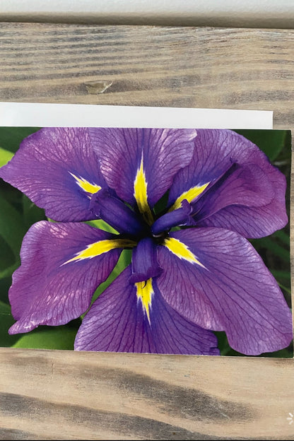 Greeting Card Blank- Nature