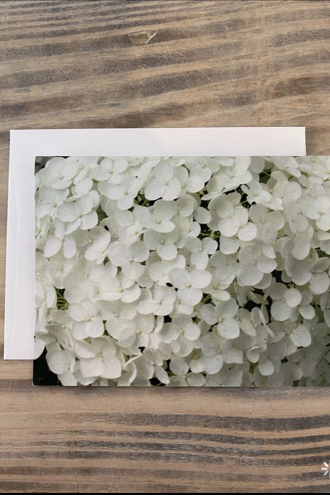 Greeting Card Blank- Nature