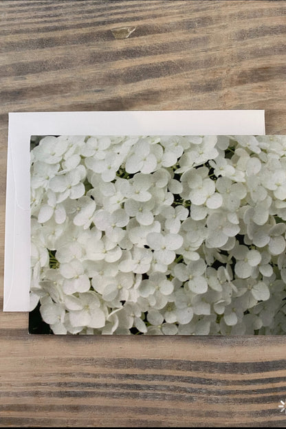 Greeting Card Blank- Nature
