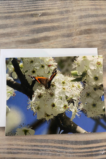 Greeting Card Blank- Nature