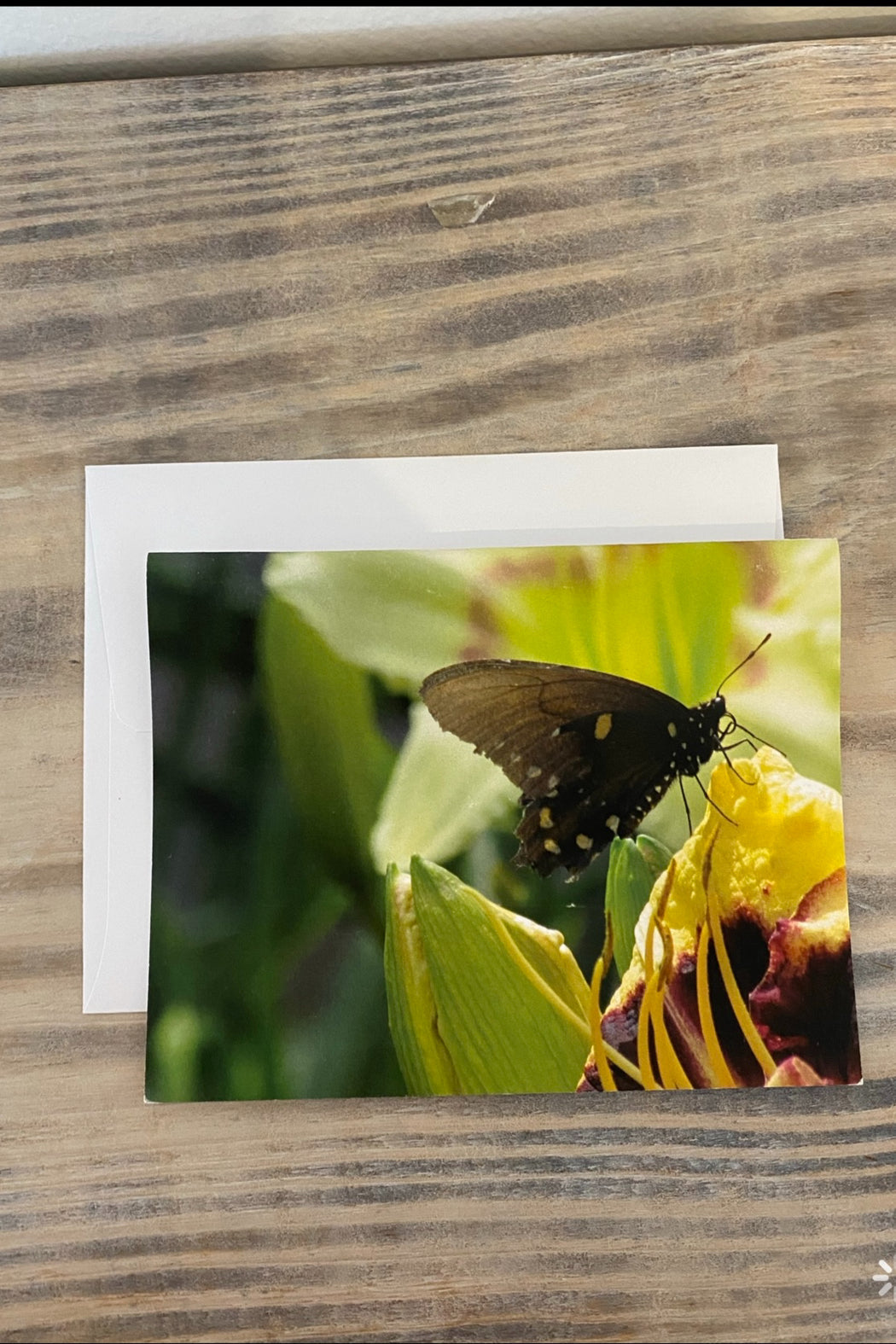 Greeting Card Blank- Nature