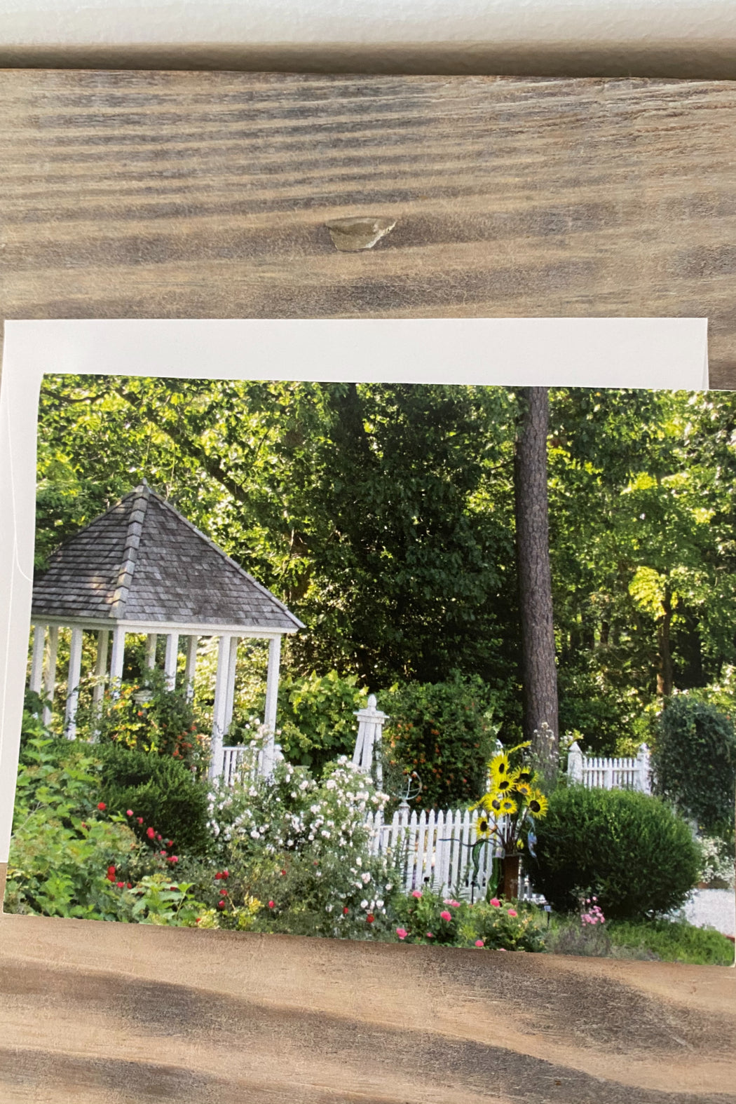 Greeting Cards Blank- Places