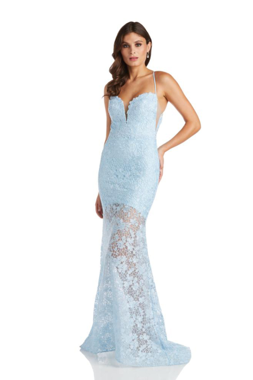 Iris Lace Mermaid Gown