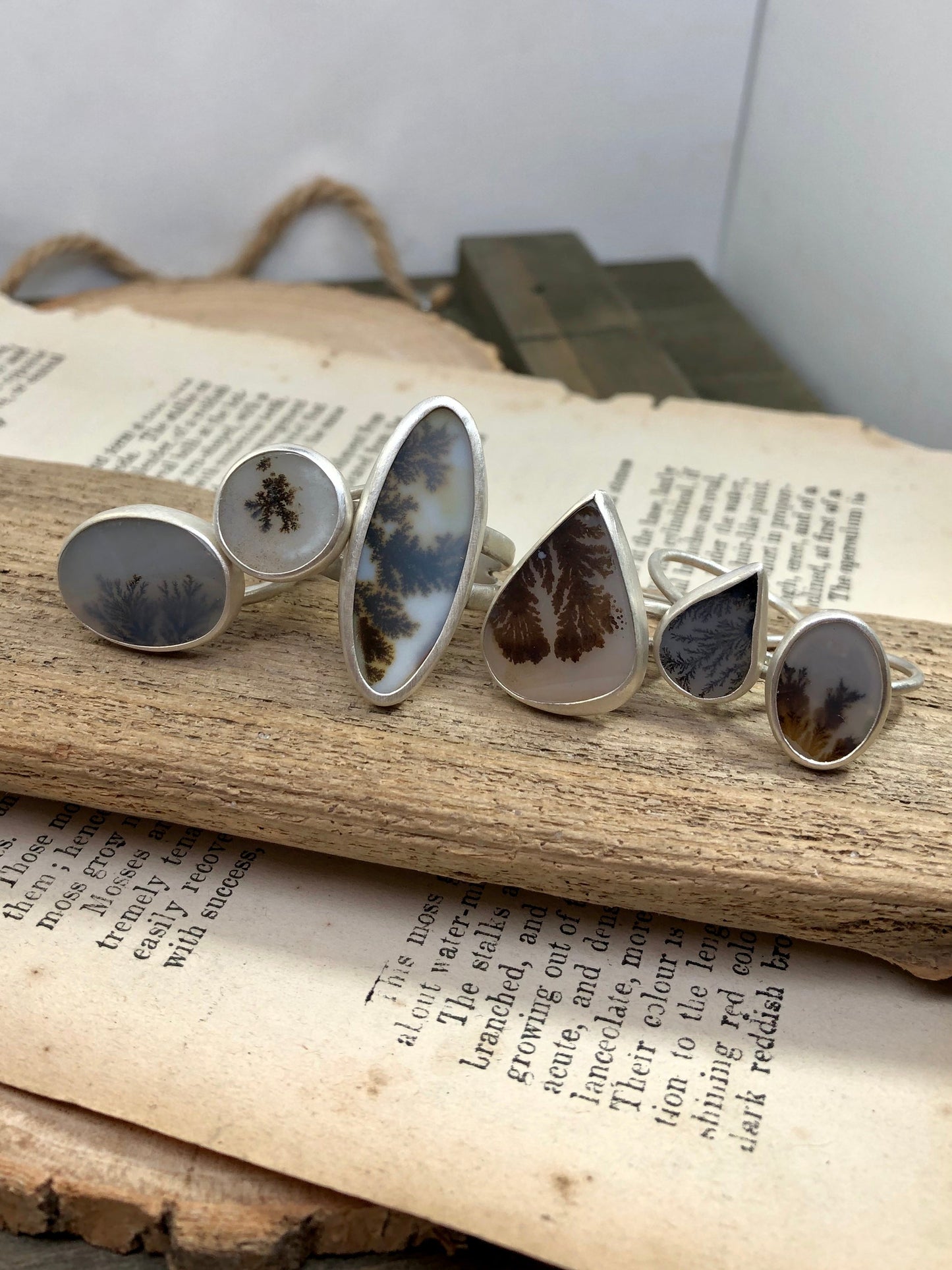 Forest Ring 3