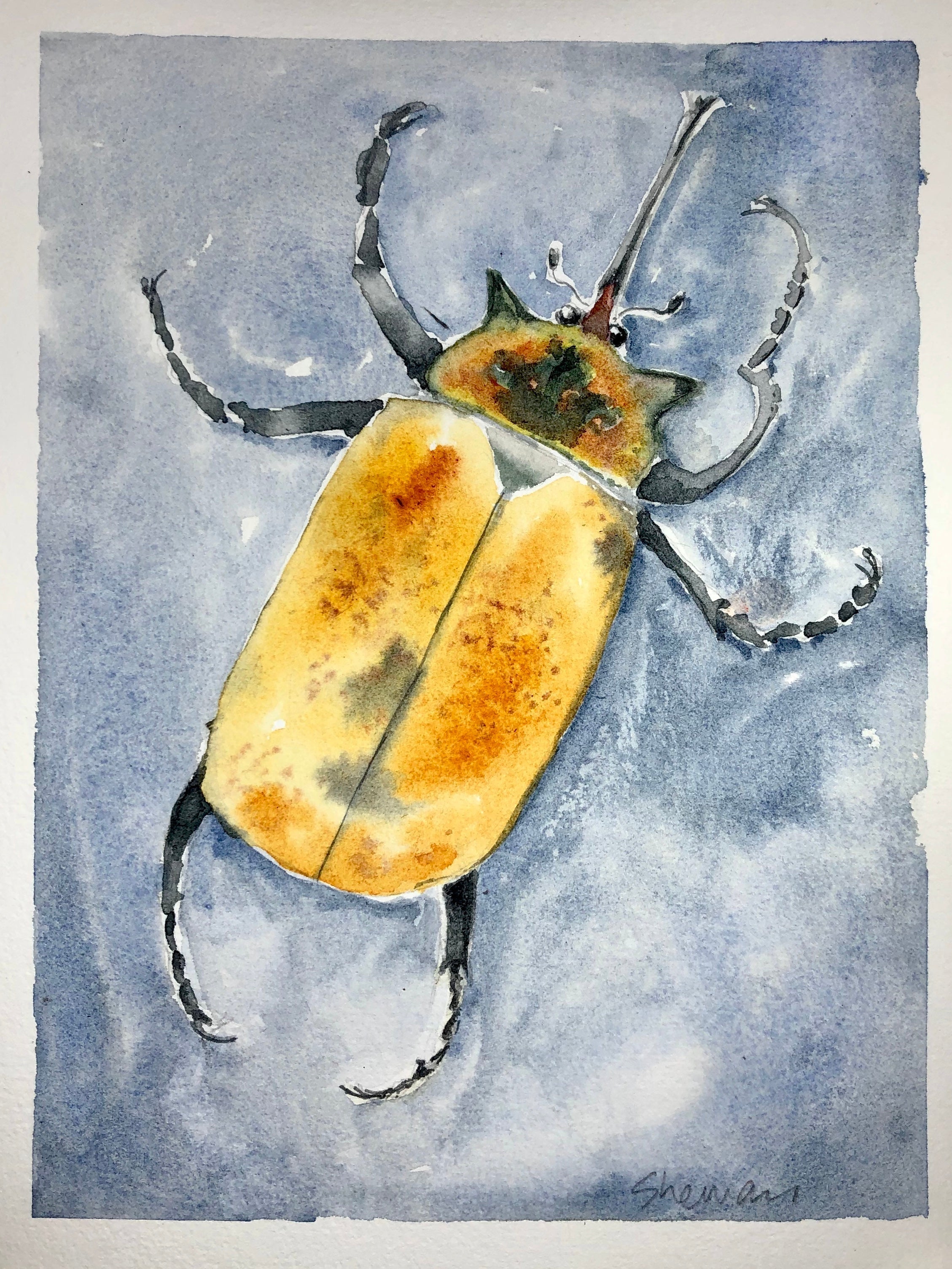 Selected Variant Image