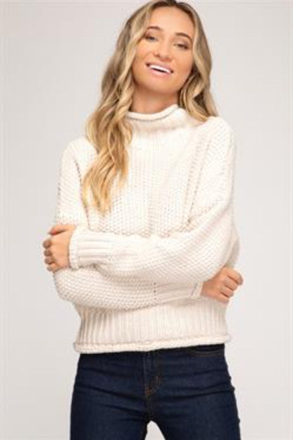 Knit Turtleneck Sweater