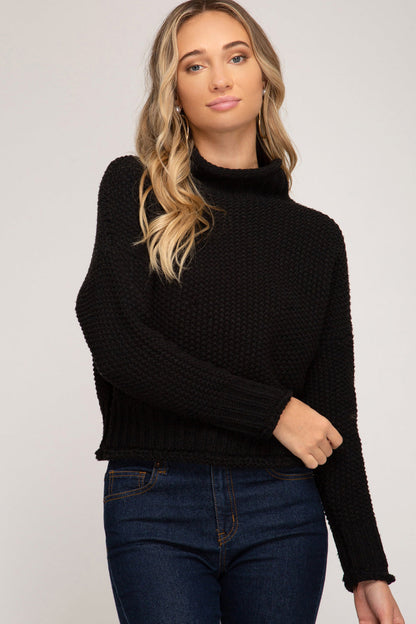 Knit Turtleneck Sweater