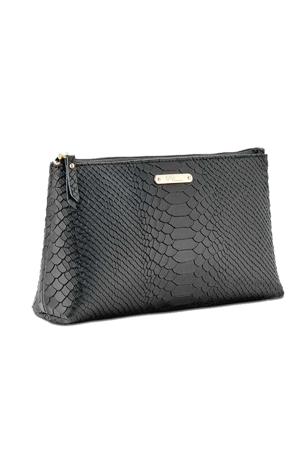 Large Cosmetic Case