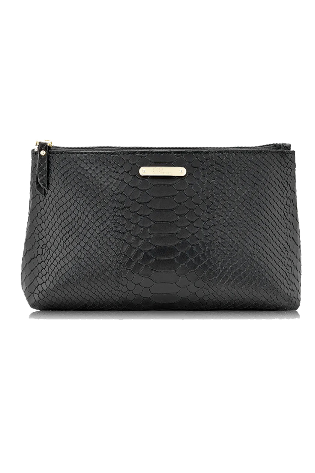 Large Cosmetic Case