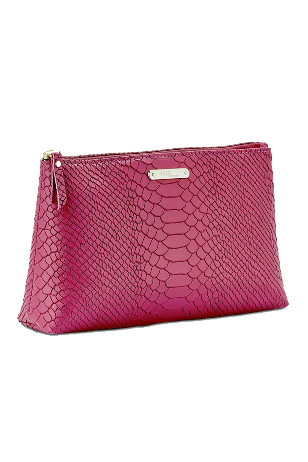 Large Cosmetic Case