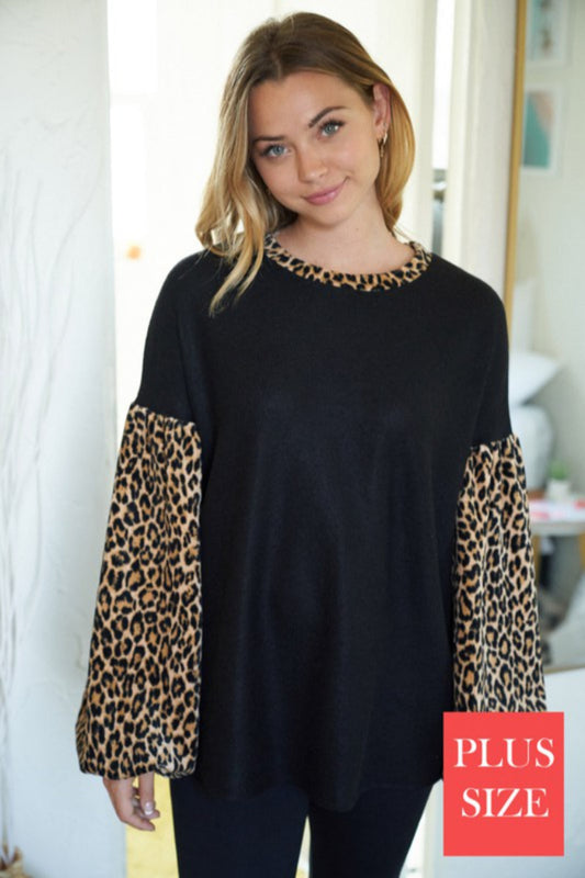 Long Sleeve Solid Knit Top