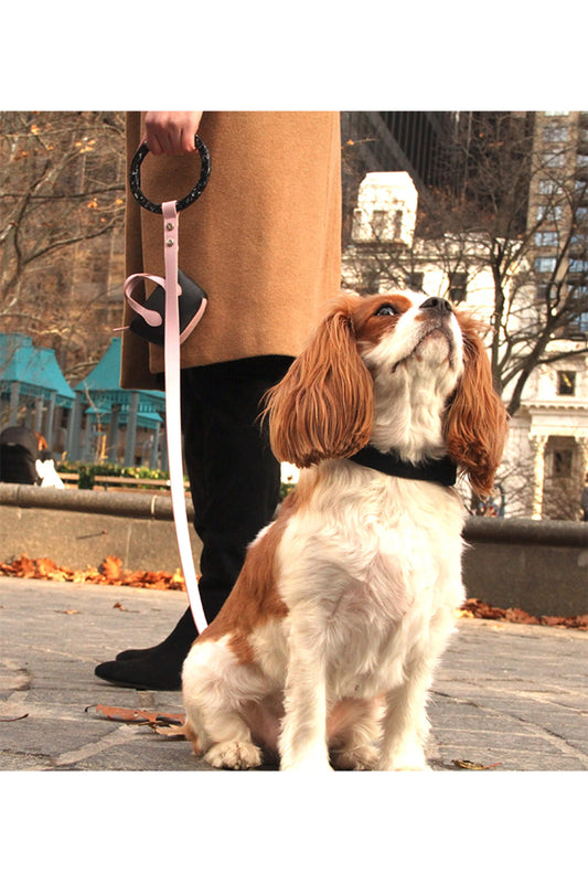 Luxury Pet Leash - Short