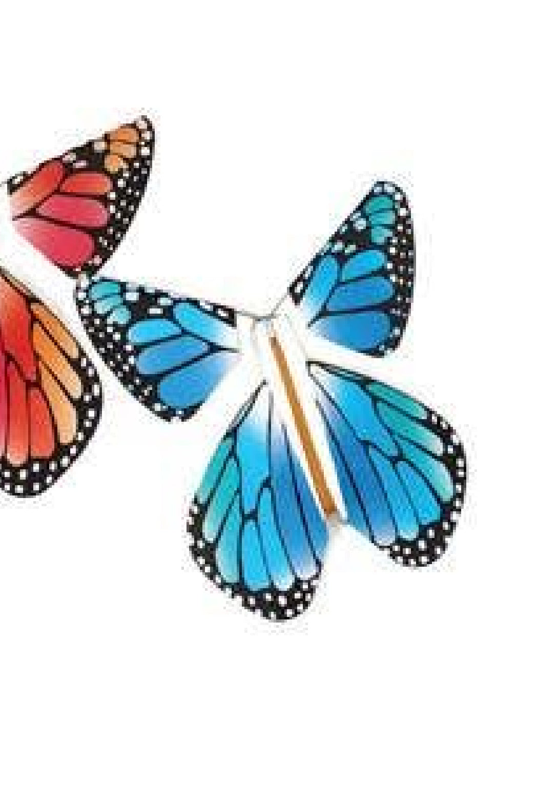 Magic Flying Butterfly- Rainbow