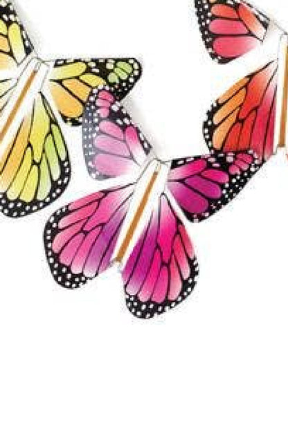 Magic Flying Butterfly- Rainbow