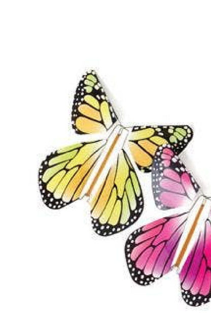 Magic Flying Butterfly- Rainbow