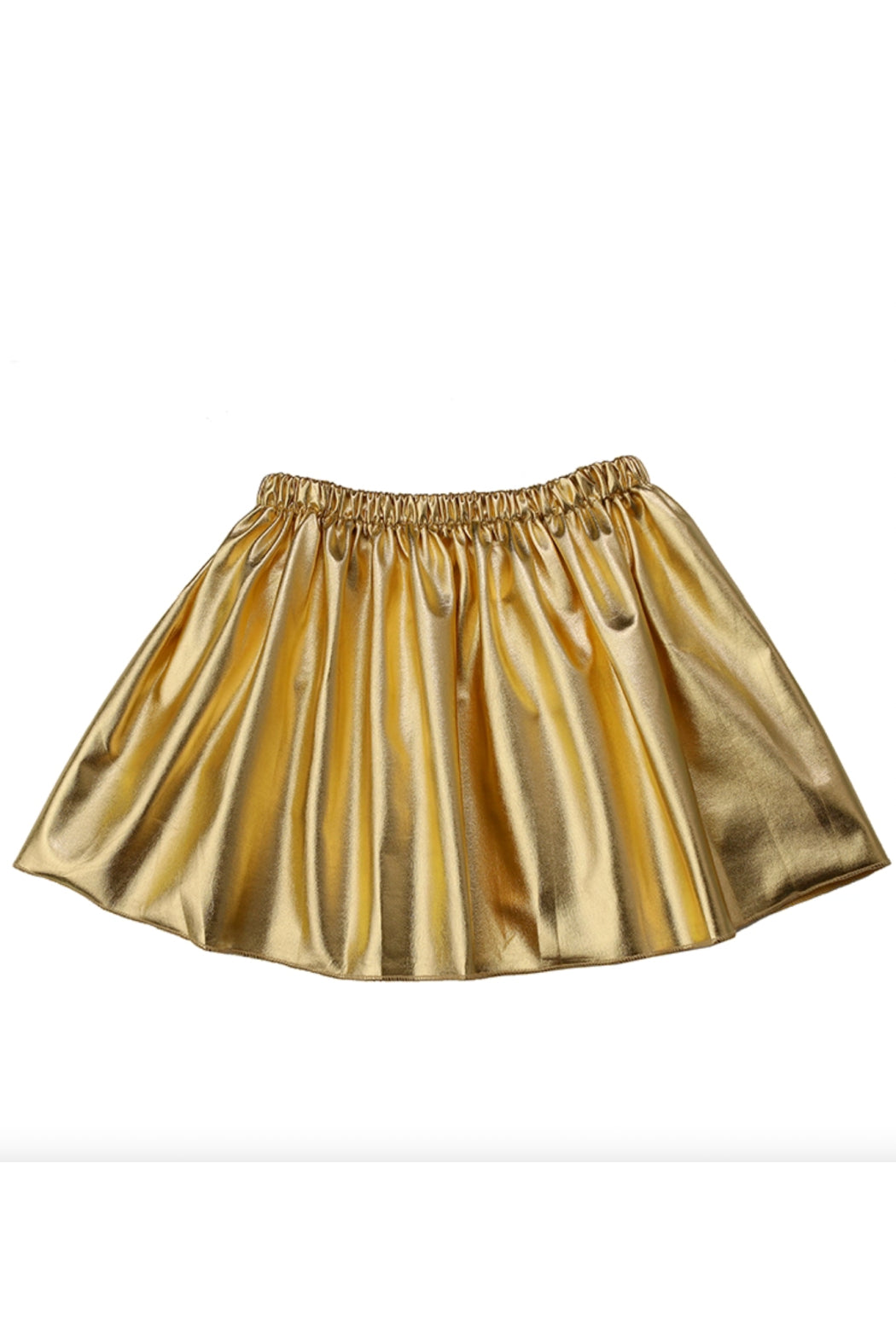 Metallic Skirt