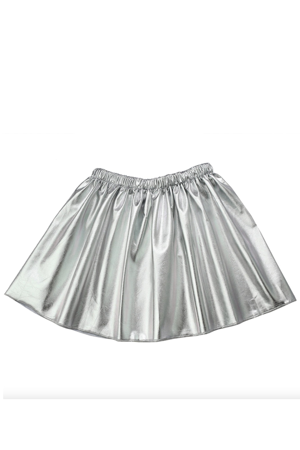 Metallic Skirt