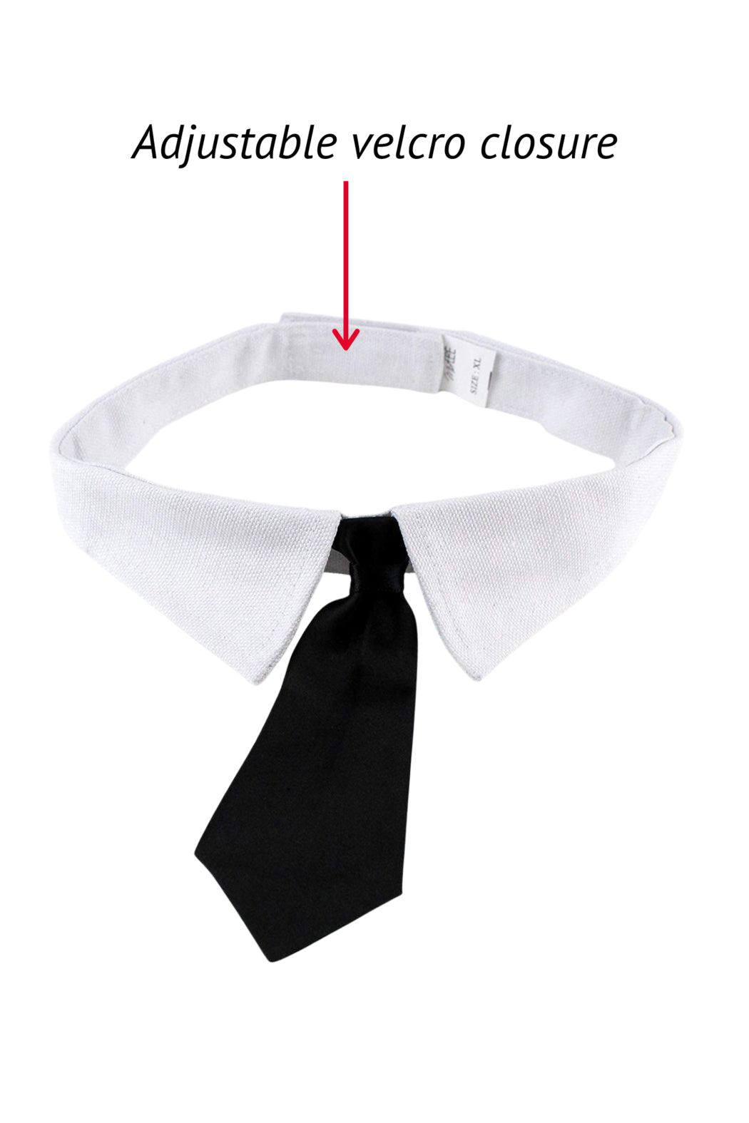 Midlee - Formal Black Doggy Tie