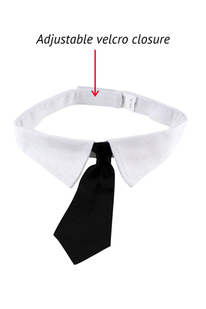 Midlee - Formal Black Doggy Tie