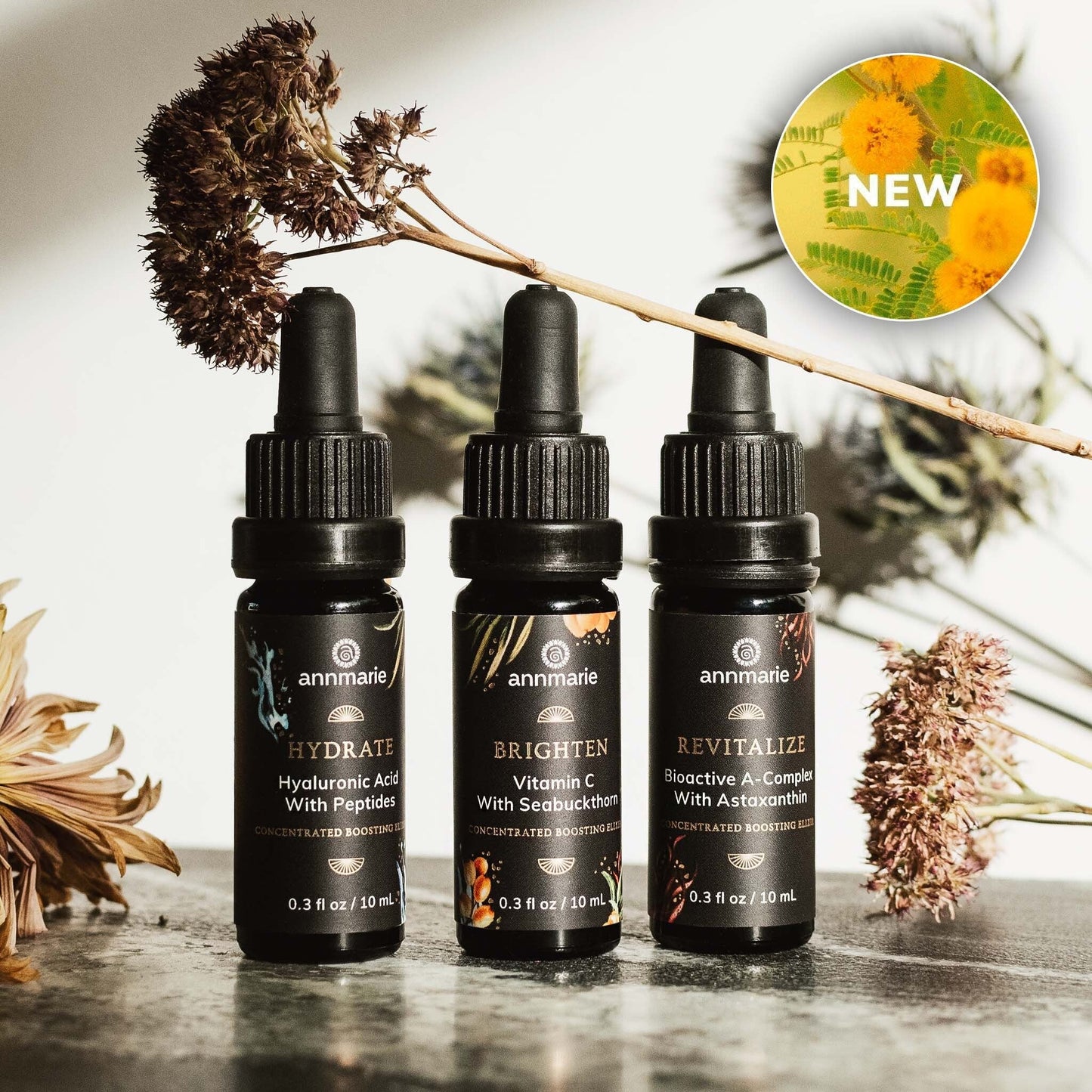 Concentrated Boosting Elixirs (10ml ea)- Collective