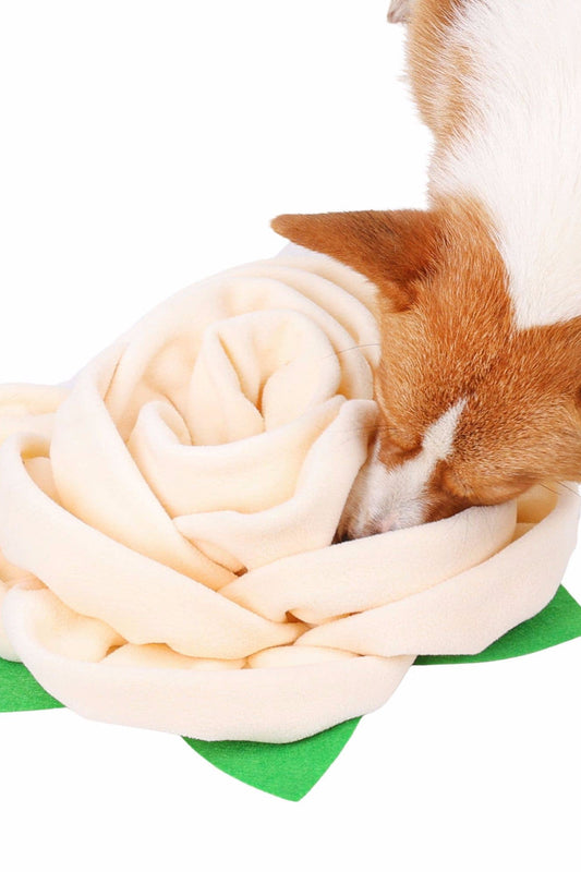 Pet Interactive Toy