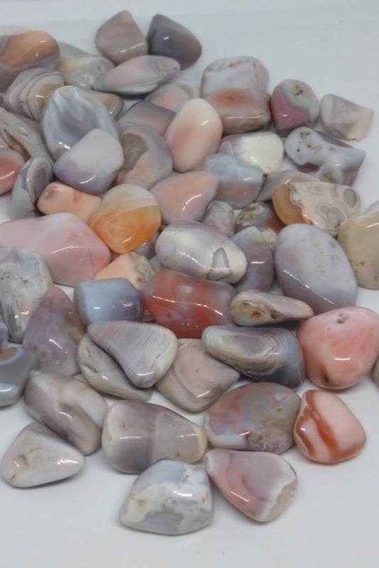 Pink Botswana