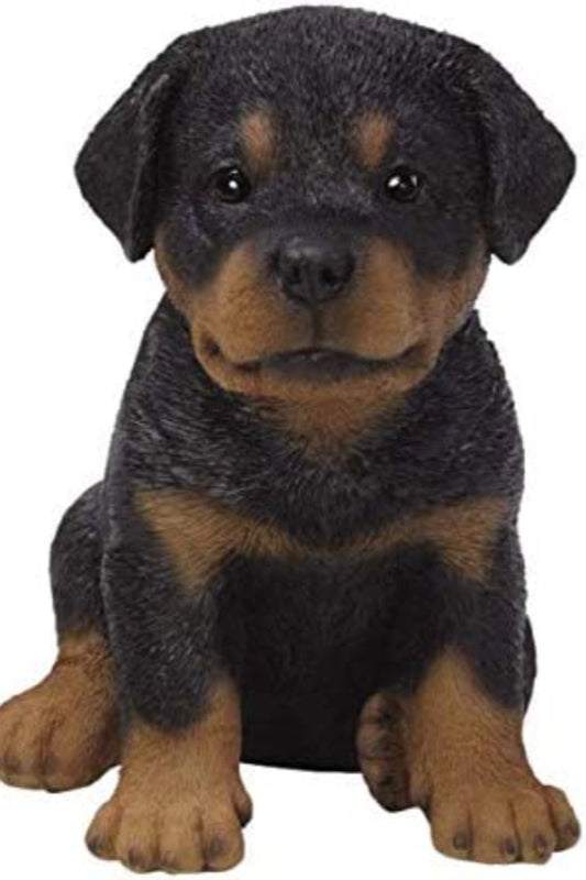 Realistic Puppy Figurine