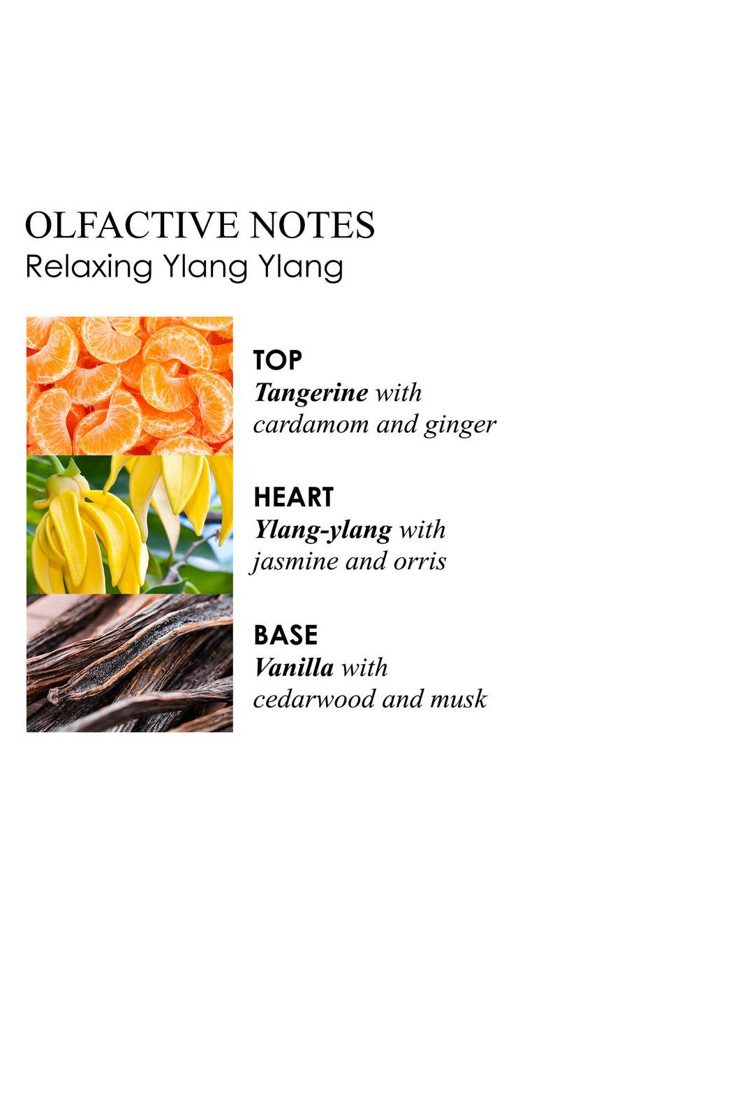 Relaxing Ylang-Ylang Body Lotion